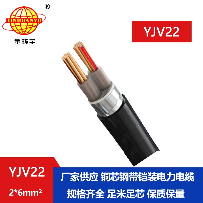 金環宇電線電纜 中低壓鎧裝電力電纜 2芯YJV22 2x6平方 銅芯